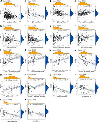 Molecular Characterization Clinical and Immunotherapeutic Characteristics of m5C Regulator NOP2 Across 33 Cancer Types